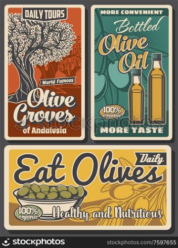 Olive oil bottles, green fruits and trees, vector design of food. Olive branches with leaves, bowl of marinated fruits and extra virgin oil retro posters of mediterranean cuisine cooking ingredients. Olive trees with oil bottles and green fruits