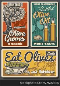 Olive oil bottles, green fruits and trees, vector design of food. Olive branches with leaves, bowl of marinated fruits and extra virgin oil retro posters of mediterranean cuisine cooking ingredients. Olive trees with oil bottles and green fruits