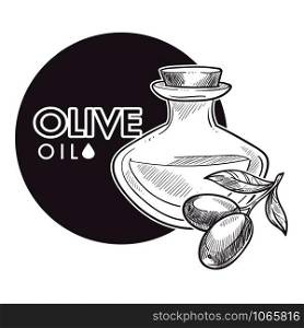 Olive oil extra virgin, monochrome sketch outline poster vector. Vegetable plant with leaves colorless greek organic food. Mediterranean ingredient to season salads and meals, nutritious product. Olive oil extra virgin, monochrome sketch outline poster vector.