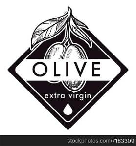 Olive oil extra virgin, monochrome sketch outline poster vector. Vegetable plant with leaves colorless greek organic food. Mediterranean ingredient to season salads and meals, nutritious product. Olive oil extra virgin, monochrome sketch outline poster