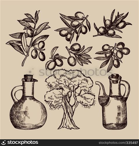 Olive oil in bottling. Olive tree and other hand drawn foods. Tree olive and oil bottle organic. Vector illustration. Olive oil in bottling. Olive tree and other hand drawn foods