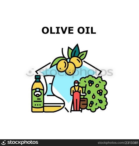Olive Oil Liquid Vector Icon Concept. Extra Virgin Olive Oil Liquid Bottle And Carafe Prepared From Natural Agricultural Ingredient. Harvester Harvesting Vitamin Fruit From Tree. Color Illustration. Olive Oil Liquid Vector Concept Color Illustration