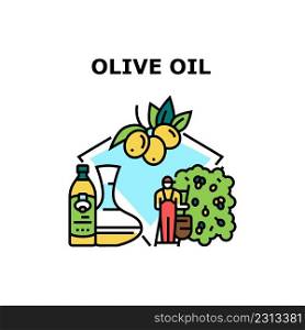 Olive Oil Liquid Vector Icon Concept. Extra Virgin Olive Oil Liquid Bottle And Carafe Prepared From Natural Agricultural Ingredient. Harvester Harvesting Vitamin Fruit From Tree. Color Illustration. Olive Oil Liquid Vector Concept Color Illustration