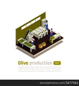 Olive oil manufacturing process isometric composition with automated harvested fruit sorting and kneading line operators vector illustration