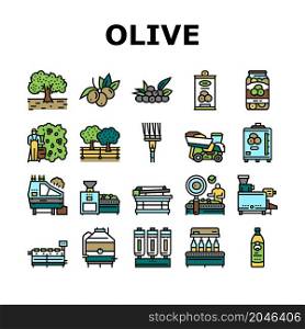 Olive Production And Harvesting Icons Set Vector. Olive Tree Cultivation And Berries Manual Harvest, Factory Shaker Table And Repository Industry Machine Line. Natural Food Color Illustrations. Olive Production And Harvesting Icons Set Vector