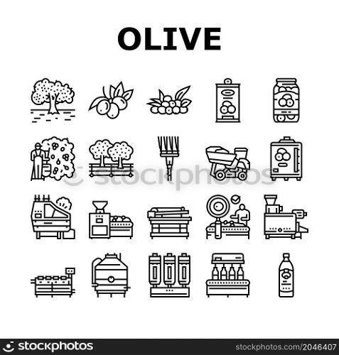 Olive Production And Harvesting Icons Set Vector. Olive Tree Cultivation And Berries Manual Harvest, Factory Shaker Table And Repository Industry Machine. Natural Food Black Contour Illustrations. Olive Production And Harvesting Icons Set Vector