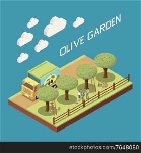 Olive production isometric composition with outdoor view of garden with row of trees truck and people vector illustration