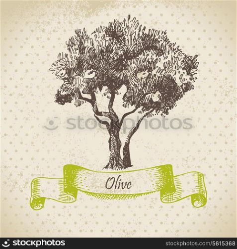 Olive tree. Hand drawn illustration