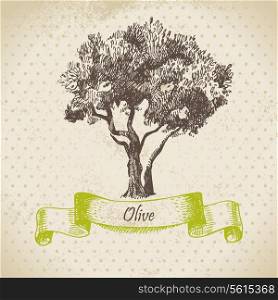 Olive tree. Hand drawn illustration