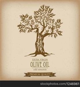 Olive tree on vintage paper. Olive oil. Vector olive tree.. Olive tree on vintage paper. Olive oil. Vector olive tree. For labels, pack.