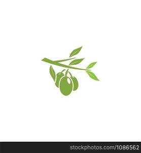 Olive tree vector illustration design template
