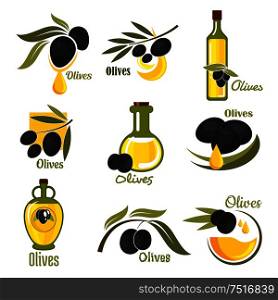 Olives black fruits with golden oil drops and glass bottles of olive oil, supplemented by branches of olive tree with green leaves. Agriculture and healthy food themes. Olive fruits with leaves and oil bottles