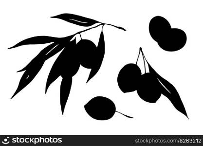 Olives branch twigs with leaves silhouette set isolated on white background. Black and white food design elements vector illustration.