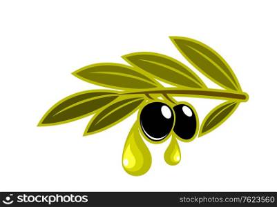 Olives on a green leafy twig dripping golden olive oilfor vegetarian food concept or agriculture design, isolated on white