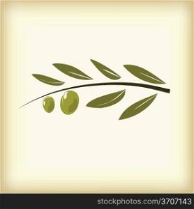 Olives on branch with leaves.