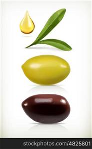 Olives, set of vector objects