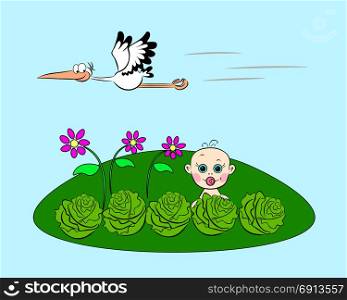 On the green glade the baby looks out from the cabbage, and above it the stork flies.
