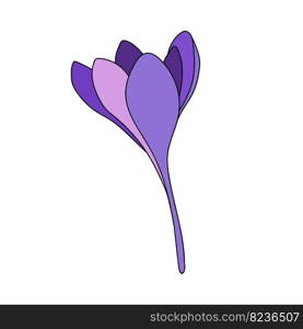  one  crocus color single saffron flower linear drawing. Botanical illustration by line