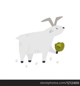 One happy funny goat with a cabbage. Vector illustration of a farm animal. One happy funny goat with a cabbage