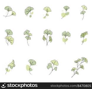 One line drawing of ginkgo leaf vector set illustration. Watercolor line art and boho style.