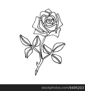 one line drawing. the garden rose with leaves. hand drawn sketch. vector. one line drawing. the garden rose with leaves. hand drawn sketch. vector illustration.