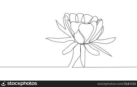 One line rose design - Hand drawn minimalism style illustration.. One line rose design - Hand drawn minimalism style