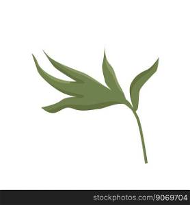 One wide leaf of peony gently green. Detail for a website or a shop of flowers and plants, shabby chic style decoration of cards and invitations.