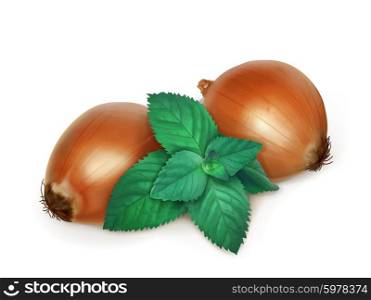 Onion and nettle, folk medicine vector illustration