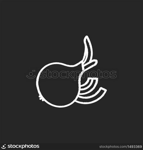 Onion chalk white icon on black background. Fresh ripe vegetable with cut slices. Whole veggie for vitality and nourishment. Raw bulb for cooking. Isolated vector chalkboard illustration. Onion chalk white icon on black background