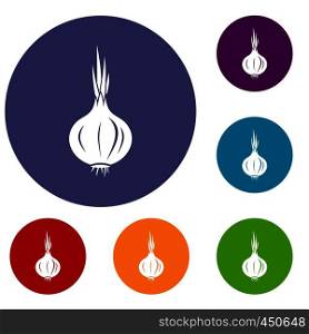Onion icons set in flat circle reb, blue and green color for web. Onion icons set