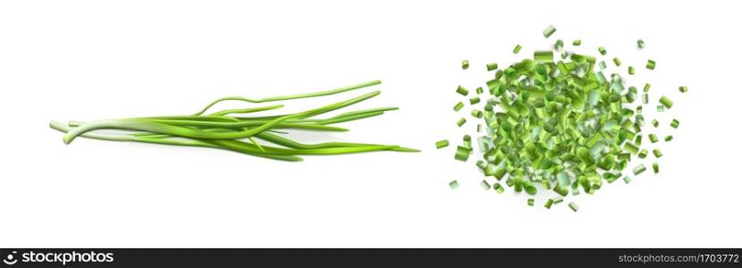 Onion leaves and chopped green chive isolated on white background. Vector realistic set of 3d fresh verdure bunch and pile of cut pieces of green garlic or scallion. Onion leaves and chopped green chive