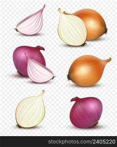 Onion realistic. Natural healthy sliced vegetables decent vector 3d onion products illustration isolated. Vegetarian vegetable organic sliced. Onion realistic. Natural healthy sliced vegetables decent vector 3d onion products illustration isolated
