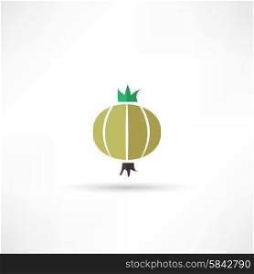 Onion vector icon