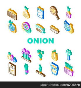 onion white red food vegetable icons set vector. cut fresh, half slice, raw purple green, cooking organic plant ingredient bulb onion white red food vegetable isometric sign illustrations. onion white red food vegetable icons set vector