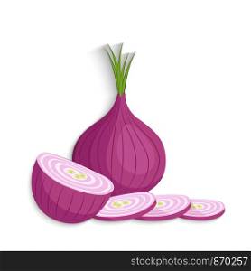 Onions. Shallots onions half, slice and whole, vector illustration