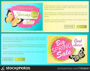 Only today big spring sale labels on posters with butterflies, day-flying moth with wings vector voucher advertisement sticker with tag, add your text. Only Today Spring Sale Labels Posters Butterfly