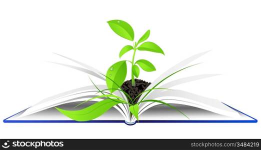 open book with young green plant