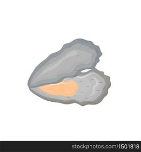 Opened oyster shell cartoon vector illustration. Fresh healthy seafood flat color object. Mediterranean diet. Luxury expensive product. Wholesome food. Delicacies isolated on white background. Opened oyster shell cartoon vector illustration