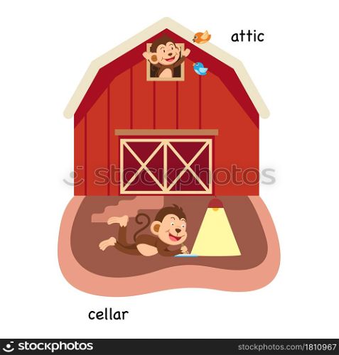 Opposite attic and cellar vector illustration