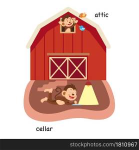 Opposite attic and cellar vector illustration