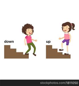 Opposite up and down vector illustration