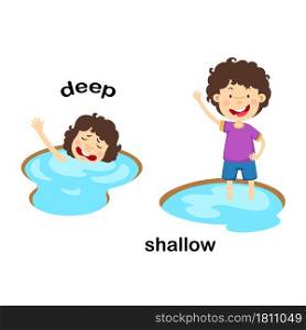 Opposite words deep and shallow vector illustration