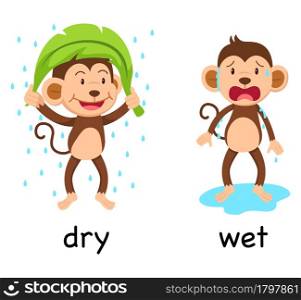 Opposite words dry and wet vector illustration