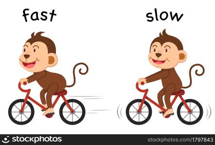 Opposite words fast and slow vector illustration