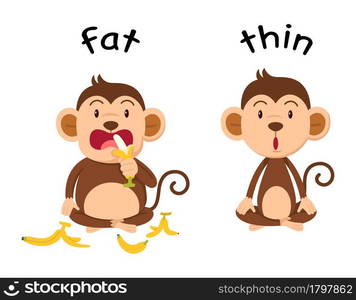 Opposite words fat and thin vector illustration