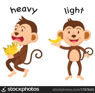 Opposite words heavy and light vector illustration