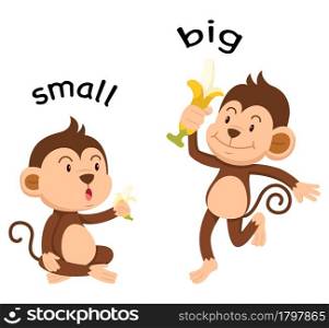Opposite words small and big vector illustration