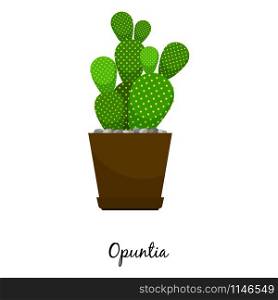 Opuntia cactus in pot isolated on the white background, vector illustration. Opuntia cactus in pot