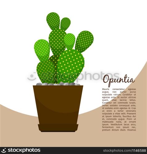 Opuntia indoor plant in pot banner template, vector illustration. Opuntia indoor plant in pot banner
