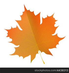 Orange autumn maple leaf on a white background. Symbol of autumn. The concept of change of the seasons. Stock vector illustration